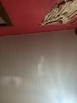 Snapshot of pimenta_gaby chatting on March 2026 02:43:01 PM pimenta gaby online show from March 2026 02:43:01 PM