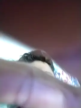 mezenga9813 online show from February 2026 02:16:02 AM