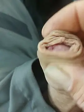 Snapshot of StarredAndrej chatting on November 2025 02:28:01 PM StarredAndrej online show from November 2025 02:28:01 PM