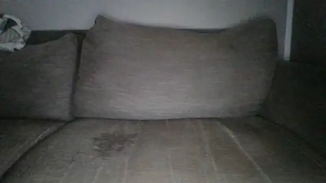 Anderrust online show from February 2025 10:59:02 AM