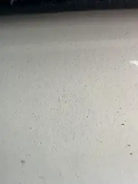 Snapshot of S2kicibey06 chatting on February 2025 07:29:01 AM S2kicibey06 online show from February 2025 07:29:01 AM