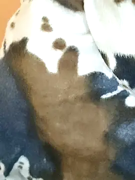 Diya 143 online show from January 2026 05:43:02 AM