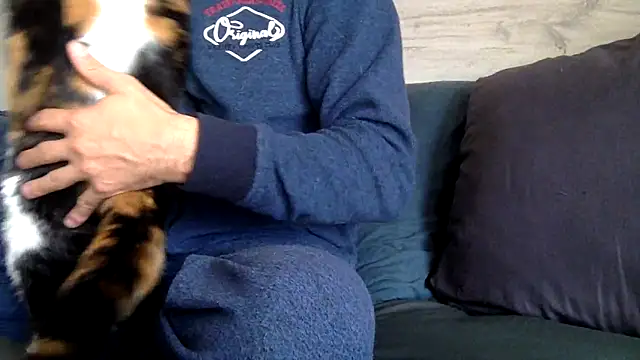 Snapshot of curioushetero chatting on February 2025 01:49:02 PM curioushetero online show from February 2025 01:49:02 PM