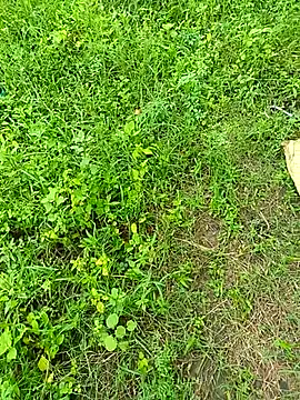 Snapshot of kummuduabbai chatting on September 2025 08:25:01 AM kummuduabbai online show from September 2025 08:25:01 AM