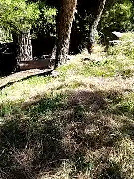 K-27 online show from October 2025 10:24:01 AM