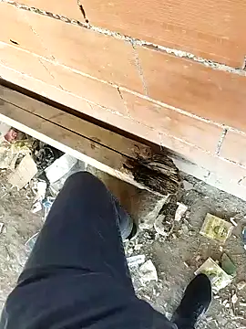 K-27 online show from October 2025 09:07:01 AM