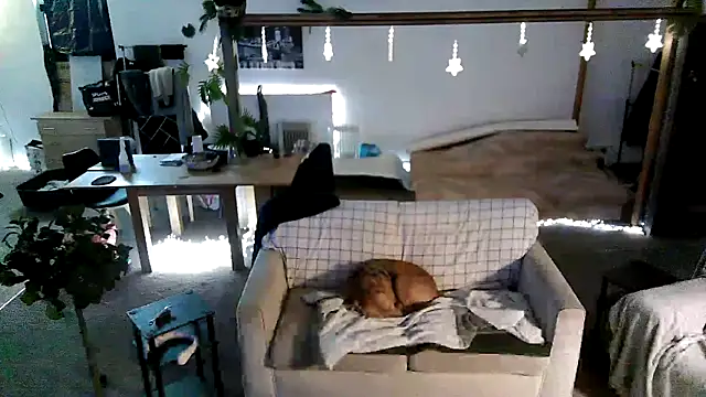 iamsex6969 online show from March 2026 06:19:02 AM