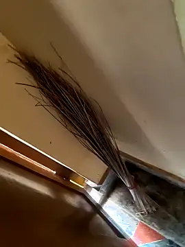 Snapshot of Gopal1243 chatting on January 2025 03:37:01 AM Gopal1243 online show from January 2025 03:37:01 AM