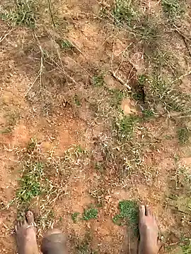 Snapshot of Gopal1243 chatting on January 2025 02:31:02 AM Gopal1243 online show from January 2025 02:31:02 AM