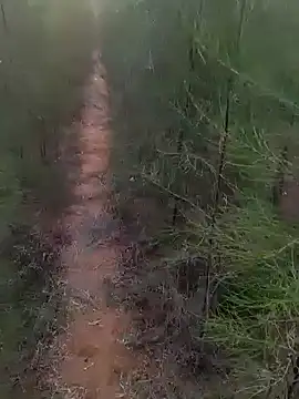 Snapshot of Gopal1243 chatting on March 2025 01:22:01 AM Gopal1243 online show from March 2025 01:22:01 AM