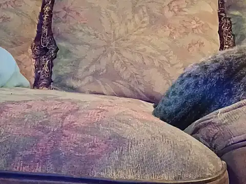 Snapshot of highstepper500 chatting on December 2025 07:47:01 AM highstepper500 online show from December 2025 07:47:01 AM