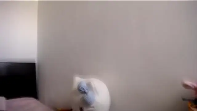 Snapshot of MARIANADIRTY chatting on November 2025 02:17:01 PM MARIANADIRTY online show from November 2025 02:17:01 PM