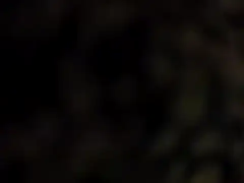 DarkHorse89 online show from September 2025 02:38:01 PM