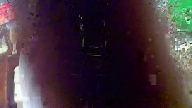 OSIRlS online show from March 2026 11:03:01 AM