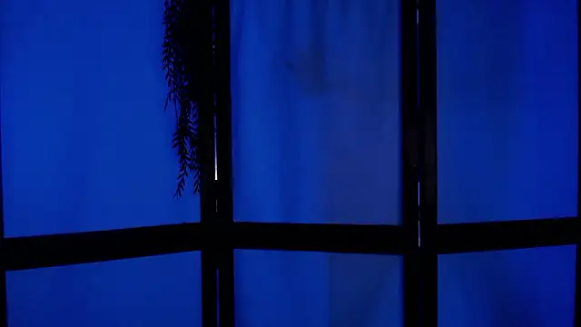 Wildorchid  online show from December 2024 04:53:01 AM