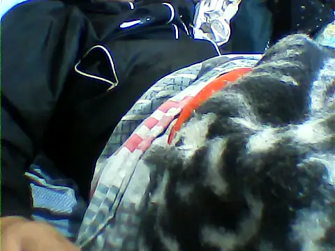 Snapshot of messi_syssy chatting on September 2025 08:34:02 PM messi syssy online show from September 2025 08:34:02 PM