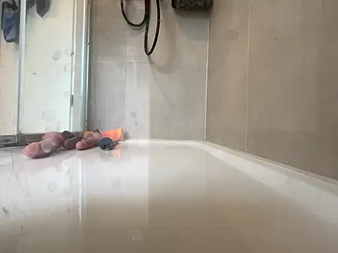 Snapshot of angelus112 chatting on March 2026 03:56:01 PM angelus112 online show from March 2026 03:56:01 PM