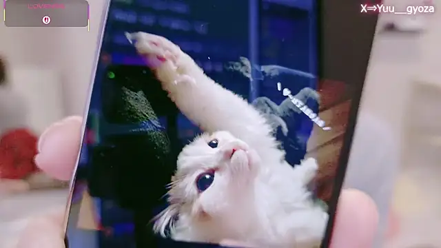 Snapshot of Yuu__k chatting on March 2026 02:36:02 PM Yuu k online show from March 2026 02:36:02 PM