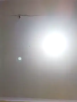 Snapshot of DangerousSafari chatting on November 2025 02:29:02 PM DangerousSafari online show from November 2025 02:29:02 PM