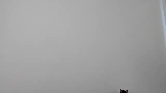 All yours555 online show from October 2025 08:55:02 PM