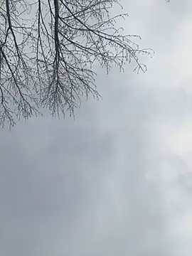 Iceblanca online show from March 2025 09:58:02 PM