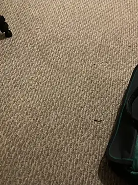 1Lustfully yours online show from November 2025 07:57:02 PM