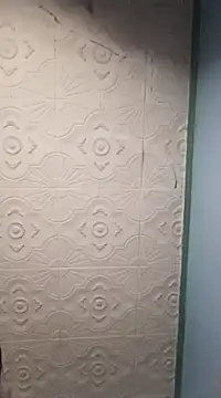 HAIRY PUSSY BIG online show from January 2025 01:05:02 PM