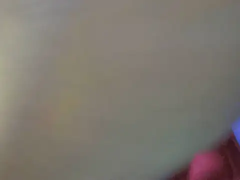 portiax online show from November 2025 05:28:02 AM