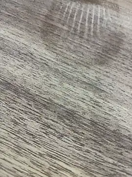 bulpof online show from April 2026 05:32:01 PM