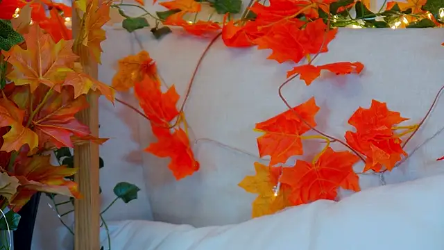 Snapshot of ElisabethDavis chatting on October 2025 03:11:01 PM ElisabethDavis online show from October 2025 03:11:01 PM