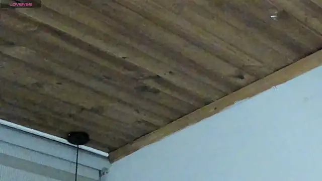 natasha logan  online show from September 2025 04:06:01 AM