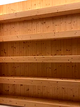 Fellix online show from November 2025 08:42:01 AM