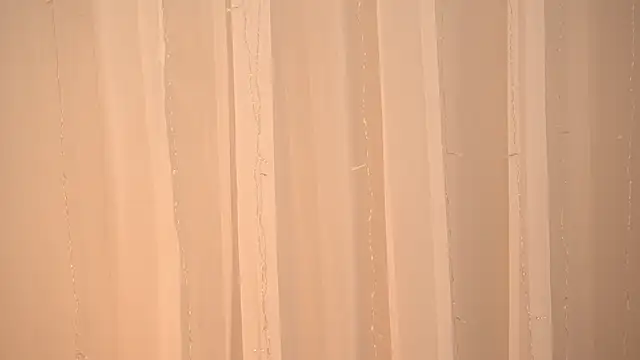 Poni DII online show from January 2026 10:10:02 AM