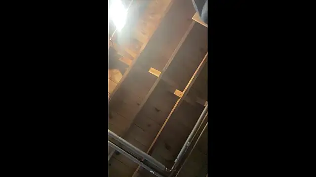 KBONE36 online show from February 2026 07:26:01 AM