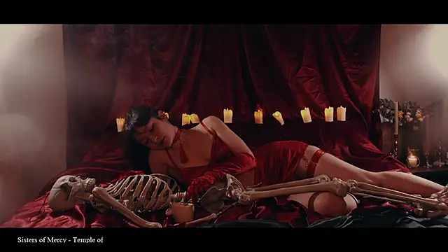 Snapshot of WebCora chatting on February 2026 06:59:02 PM WebCora online show from February 2026 06:59:02 PM