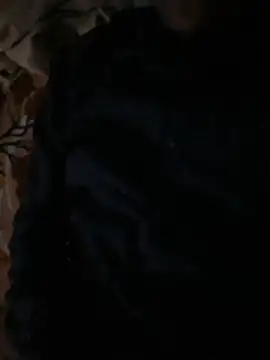 Snapshot of Itsdesi_boy chatting on November 2025 12:14:02 PM Itsdesi boy online show from November 2025 12:14:02 PM