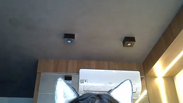 Skinny-Kitten online show from November 2025 09:33:02 AM