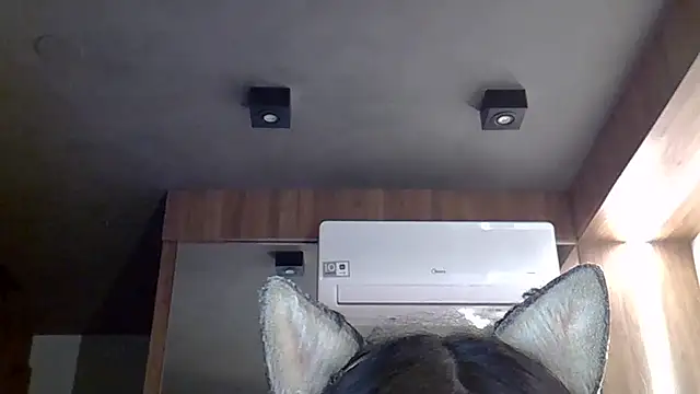 Skinny-Kitten online show from December 2025 11:23:02 PM