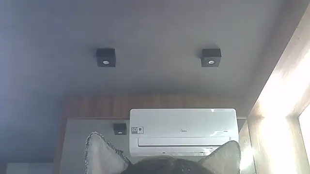 Skinny-Kitten online show from January 2026 04:05:02 AM