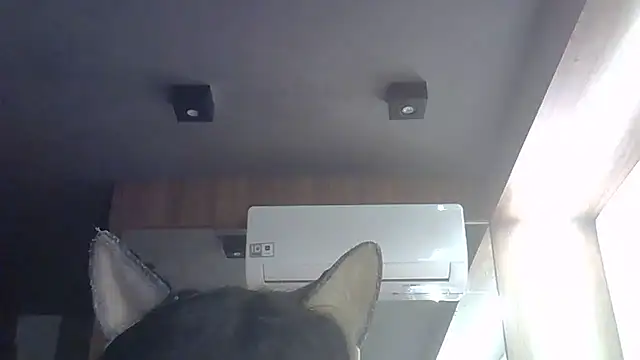 Skinny-Kitten online show from May 2026 04:59:02 PM