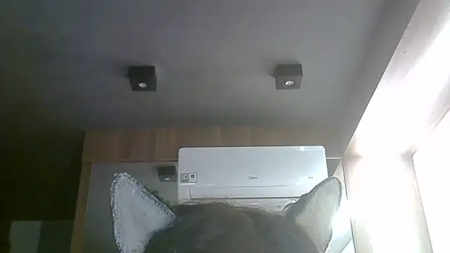 Skinny-Kitten online show from June 2026 03:47:01 PM