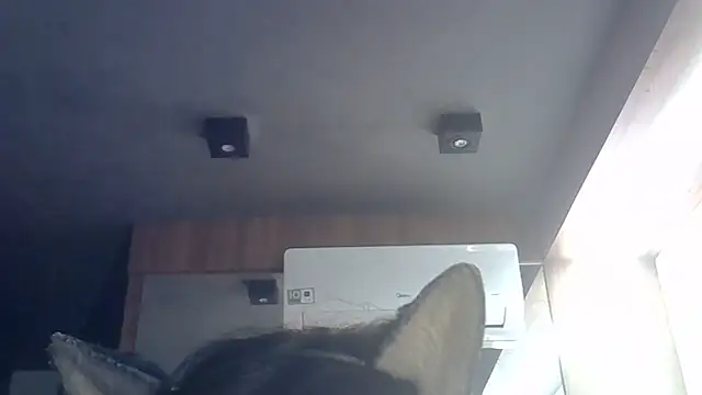 Skinny-Kitten online show from June 2026 09:32:01 AM