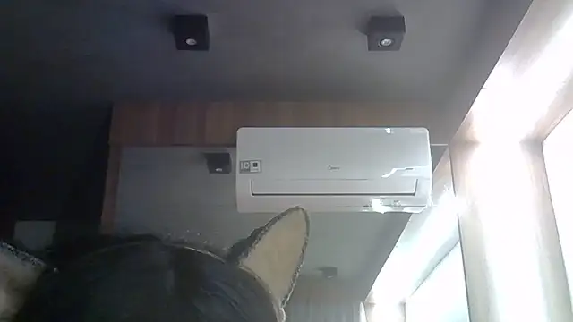 Skinny-Kitten online show from June 2026 11:35:02 PM