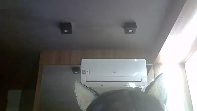 Skinny-Kitten online show from June 2026 08:38:01 AM