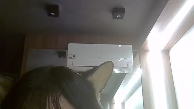 Skinny-Kitten online show from June 2026 01:37:01 AM