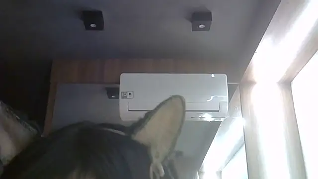 Snapshot of Skinny-Kitten chatting on June 2026 05:23:02 AM Skinny-Kitten online show from June 2026 05:23:02 AM