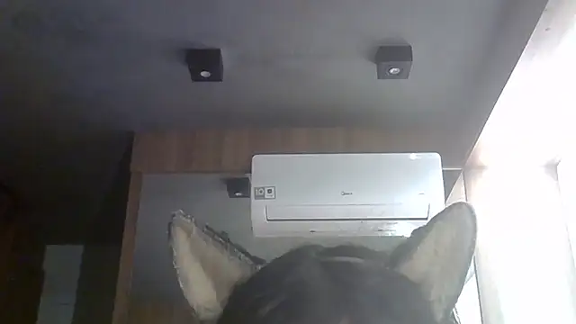Snapshot of Skinny-Kitten chatting on June 2026 01:28:01 PM Skinny-Kitten online show from June 2026 01:28:01 PM