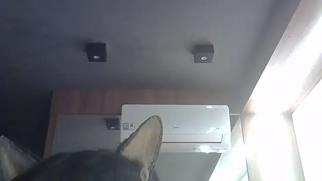 Snapshot of Skinny-Kitten chatting on June 2026 01:33:01 AM Skinny-Kitten online show from June 2026 01:33:01 AM
