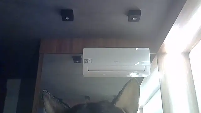 Snapshot of Skinny-Kitten chatting on June 2026 01:39:02 PM Skinny-Kitten online show from June 2026 01:39:02 PM