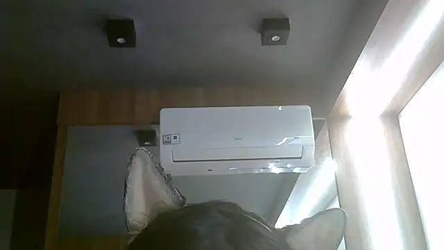 Snapshot of Skinny-Kitten chatting on July 2026 06:04:01 PM Skinny-Kitten online show from July 2026 06:04:01 PM